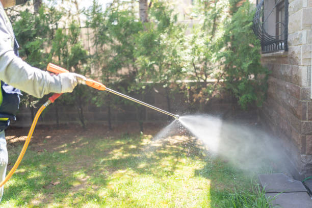 Bird Control in Surfside Beach, SC