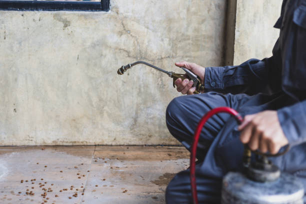 Best Best Pest Control Companies  in Surfside Beach, SC